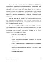 Referāts 'Darba drošība', 7.