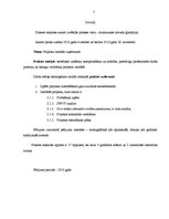 Referāts 'Projektu vadība', 3.