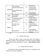 Referāts 'Projektu vadība', 10.