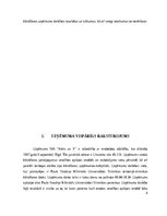 Prakses atskaite 'Profesionālās prakses “RESTORĀNI” 
ēdināšanas uzņēmumā – SIA Aleks un V, PSKUS ', 4.