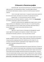 Referāts 'Коралловые рифы и возможности их спасения', 5.