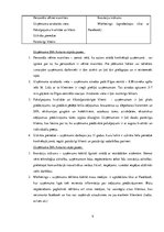 Prakses atskaite 'Prakses atskaite tūrisma aģentūrā', 9.