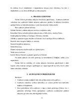 Prakses atskaite 'Prakses atskaite tūrisma aģentūrā', 13.