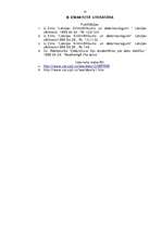 Referāts 'Datornoziegumi', 16.