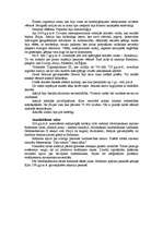 Referāts 'Divupe', 4.