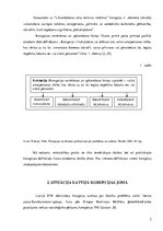 Referāts 'Korupcija valsts veselības aprūpes sistēmā Latvijā', 5.
