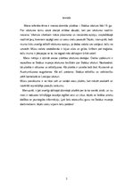 Referāts 'Saldus pilsētas vēsture', 2.