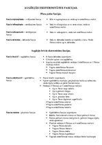 Konspekts 'Augšējās ekstremitātes topogrāfiskie veidojumi, fascijas', 3.