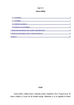 Referāts '"Smadzeņu pirkstu" nospiedumi', 2.