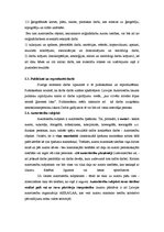 Referāts 'Īpašuma tiesības: intelektuālais īpašums', 7.