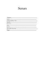 Referāts 'Latīņamerikas dejas', 2.