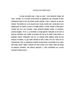 Konspekts 'Latvijas valsts simboli', 2.