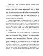 Referāts 'Herbal cigarešu stratēģijas ieviešana', 7.