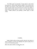 Referāts 'Herbal cigarešu stratēģijas ieviešana', 21.