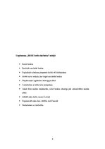 Biznesa plāns 'Brošu darbnīcas "Roze" projekts', 4.