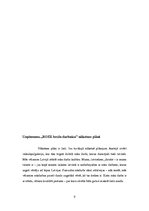 Biznesa plāns 'Brošu darbnīcas "Roze" projekts', 9.