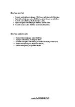 Referāts 'Andris Biedriņš - pārliecinoši pelnošākais sportists Baltijā', 2.