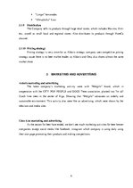 Konspekts 'Comparison of Two Enterprises', 8.