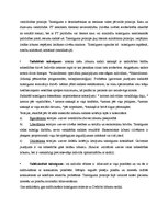 Konspekts 'Medicīnas ētika', 8.