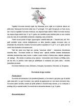 Referāts 'Nekustamā īpašuma tirgus apskats un analīze Purvciemā', 6.