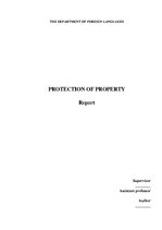 Referāts 'Protection of Property', 1.