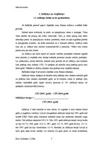 Referāts 'Inflācijas procesu raksturojums Latvijā', 3.