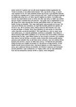 Referāts 'Annas Skaidrītes Gailītes romāna "Rožukronis" atstāstījums', 2.