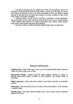 Prakses atskaite 'Pedagoģiskā prakse pirmskolas izglītības iestādē', 31.