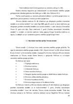 Referāts 'Eiropas Savienības regulu ietekme uz normatīvajiem aktiem Latvijā un Tukuma nova', 24.