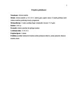 Paraugs 'Sabiedrisko attiecību kampaņas plāns', 3.