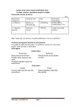 Biznesa plāns 'Ķiploku audzēšanas biznesa plāns', 7.