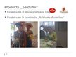 Prezentācija 'SIA "Skrīveru saldumi" darbība un pilnveide', 9.