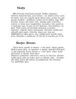 Referāts 'Skaņa', 1.