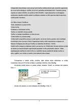 Referāts 'MS Word', 4.