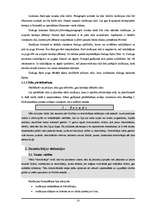 Referāts 'MS Word', 10.