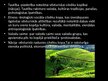 Prezentācija 'Indijas kultūra', 10.