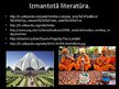 Prezentācija 'Indijas kultūra', 15.