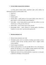 Referāts 'Apdrukas pakalpojumu sniegšanas komercdarbības plānošana', 9.