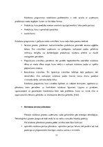 Referāts 'Apdrukas pakalpojumu sniegšanas komercdarbības plānošana', 11.