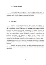 Referāts 'Apdrukas pakalpojumu sniegšanas komercdarbības plānošana', 22.