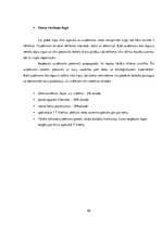 Referāts 'Apdrukas pakalpojumu sniegšanas komercdarbības plānošana', 24.