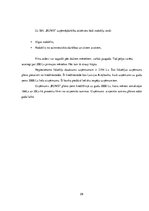 Referāts 'Apdrukas pakalpojumu sniegšanas komercdarbības plānošana', 27.