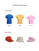 Referāts 'Apdrukas pakalpojumu sniegšanas komercdarbības plānošana', 40.