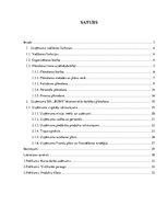 Referāts 'Apdrukas pakalpojumu sniegšanas komercdarbības plānošana', 46.