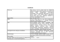 Prakses atskaite 'Aprūpes plāns', 3.