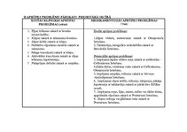 Prakses atskaite 'Aprūpes plāns', 5.