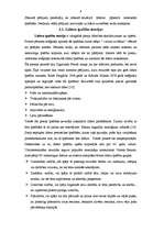 Diplomdarbs 'Vadītāja - līdera sociālpsiholoģiskais raksturojums', 7.