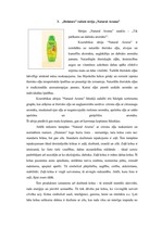 Konspekts 'A/s "Dzintars" uzņēmuma vizuālais profils', 3.