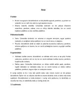 Konspekts 'Cilvēkresursu vadība (Celtnieka profesija)', 4.