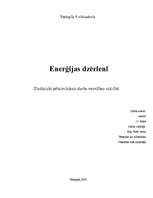 Referāts 'Enerģijas dzērieni', 1.